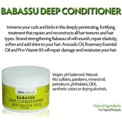 OBIA Naturals Babassu Oil Deep Conditioner – Moisturizing Protein-Free – Repairs Dry Hair, Damaged Hair, Textured Hair, Curly Hair, Natural Hair, Sulfate-Free, Vegan -Boutique Wig Shop 51e4uGuoE2BL