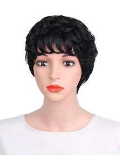 Synthetic Wigs Short Hair For Black Women African American -Boutique Wig Shop absc710009 2