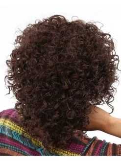 Kinky Curly Wigs For Black Women Synthetic African Heat Resistant Short Hair -Boutique Wig Shop absc710022 3