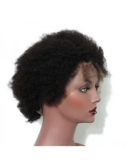 Boutique Wig Shop -Boutique Wig Shop afro kinky curly full lace human hair wigs for black women ever beauty afro kinky curly 1