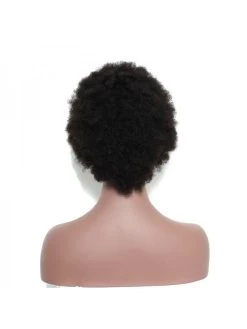 Curly Full Lace Human Hair Wigs For Black Women Kinky Curly Wigs -Boutique Wig Shop afro kinky curly full lace human hair wigs for black women ever beauty afro kinky curly 2