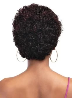 Janet Collection Lavish 100% Virgin Human Hair Wig - EMILIA -Boutique Wig Shop emilia6m