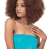 Janet Collection Noir 2X AFRO KINKY Bulk 14