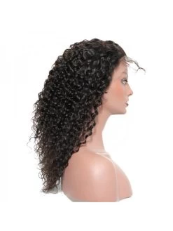 Human Hair Wigs 180% High Density Brazilian Curly Full Lace Wigs For Black Women -Boutique Wig Shop lace front human hair wigs 250 high density brazilian curly front lace wigs 12 24 full 5