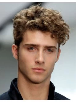Capless Short Synthetic Hair Curly Wig For Man