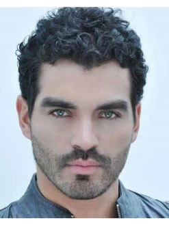 Monofilament Short Synthetic Hair Wavy Mens Wig