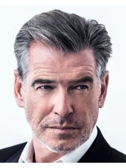 Lace Front Short Synthetic Hair Grey Mens Wig