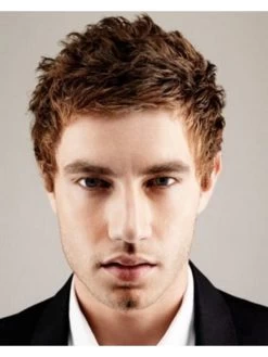 Mens Capless Short Synthetic Hair Straight Wig