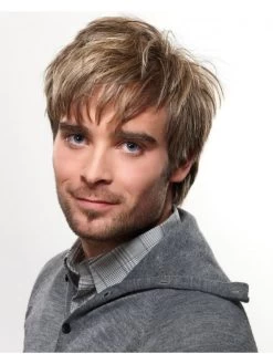 Capless Short Synthetic Hair Grey Mens Wig