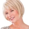 Straight Capless Chin Length Synthetic Hair Bobs Grey Wig