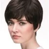 Straight Capless Cropped Remy Human Hair Classic Black Wig