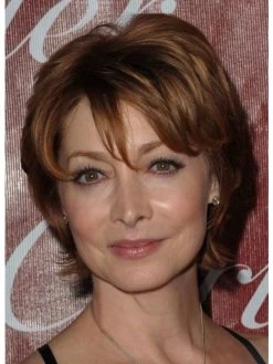 Straight Capless Short Remy Human Hair With Bangs Brown Wig