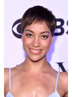 Straight Capless Short Synthetic Hair Afro Wig