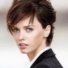 Short Remy Human Hair Without Bangs Brown Wig