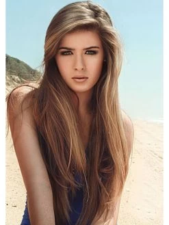 Full Lace Long Synthetic Hair Straight Wig Without Bangs