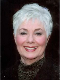 Capless Short Synthetic Hair Boycuts Grey Wig