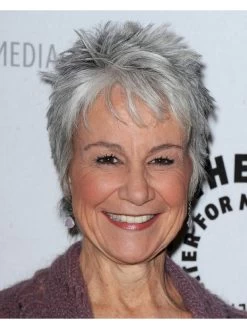 Synthetic Cropped Hair Grey Wig For Older Women